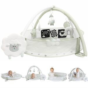 Aila & Aiden 6-in-1 Play Mat & Play Gym, Baby Gym, Baby Activity Gym NEW